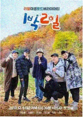 乘风破浪的姐姐 电影免费看
